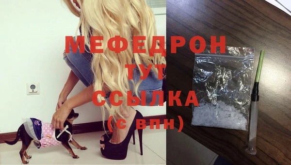 МДПВ Новодвинск