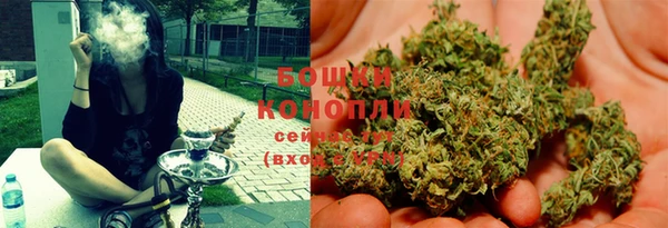 ALPHA PVP Новозыбков