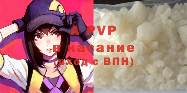 стафф Новый Уренгой